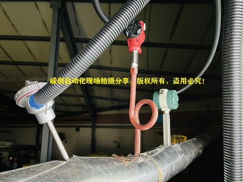 分體式渦街流量計(jì) 源頭品牌在客戶口碑中永生